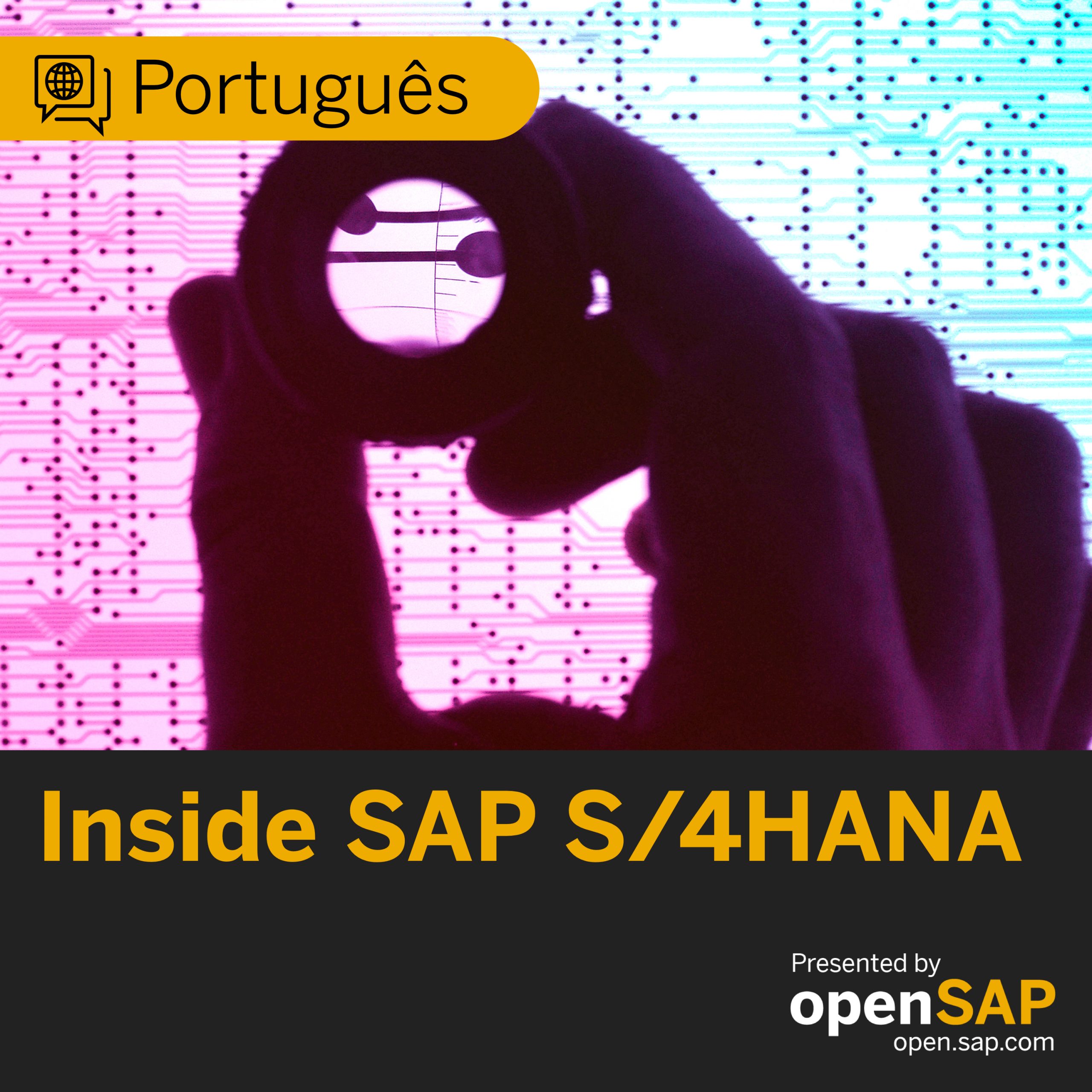 Inside Sap S 4hana Episodio Pt 03 Rig O Caminho Para O Sap S 4hana Atraves Da Conversao Prepare Inside Sap S 4hana